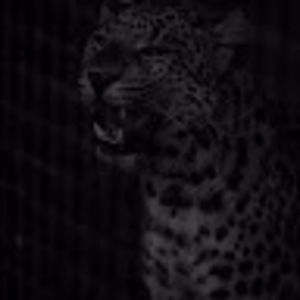 Meet your Posher, March